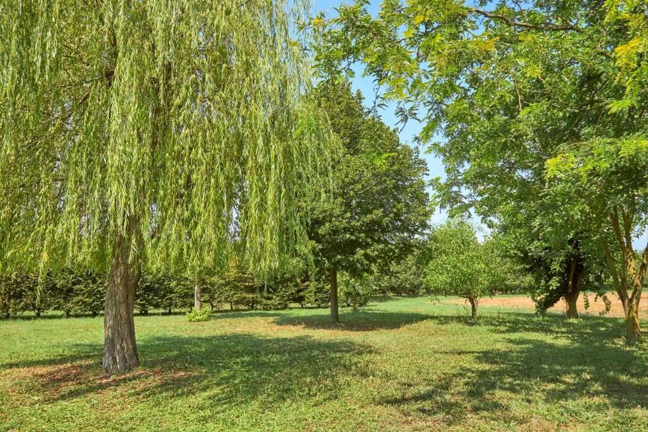 Agriturismo Forzello Ariano nel Polesine Kültér fotó